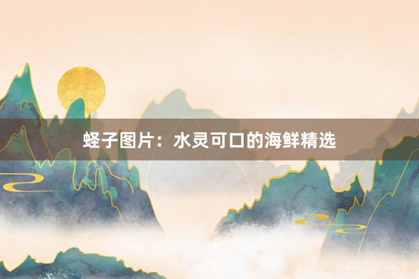 蛏子图片：水灵可口的海鲜精选